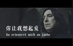 Télécharger la video: 【德语歌】斯内普｜你让我想起爱 Du erinnerst mich an Liebe