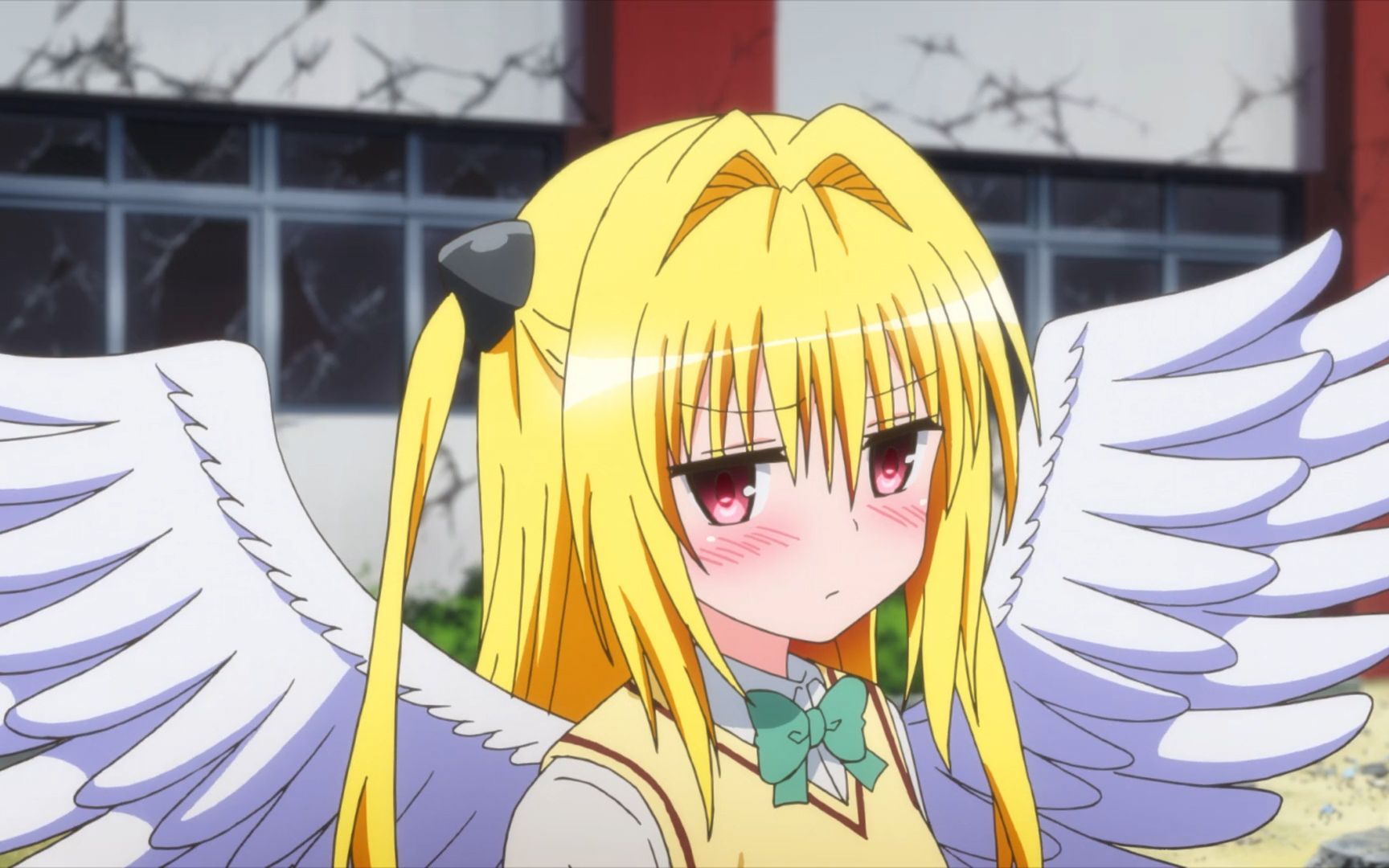 从暗杀到暗恋~不娶何撩——tolove小暗生贺