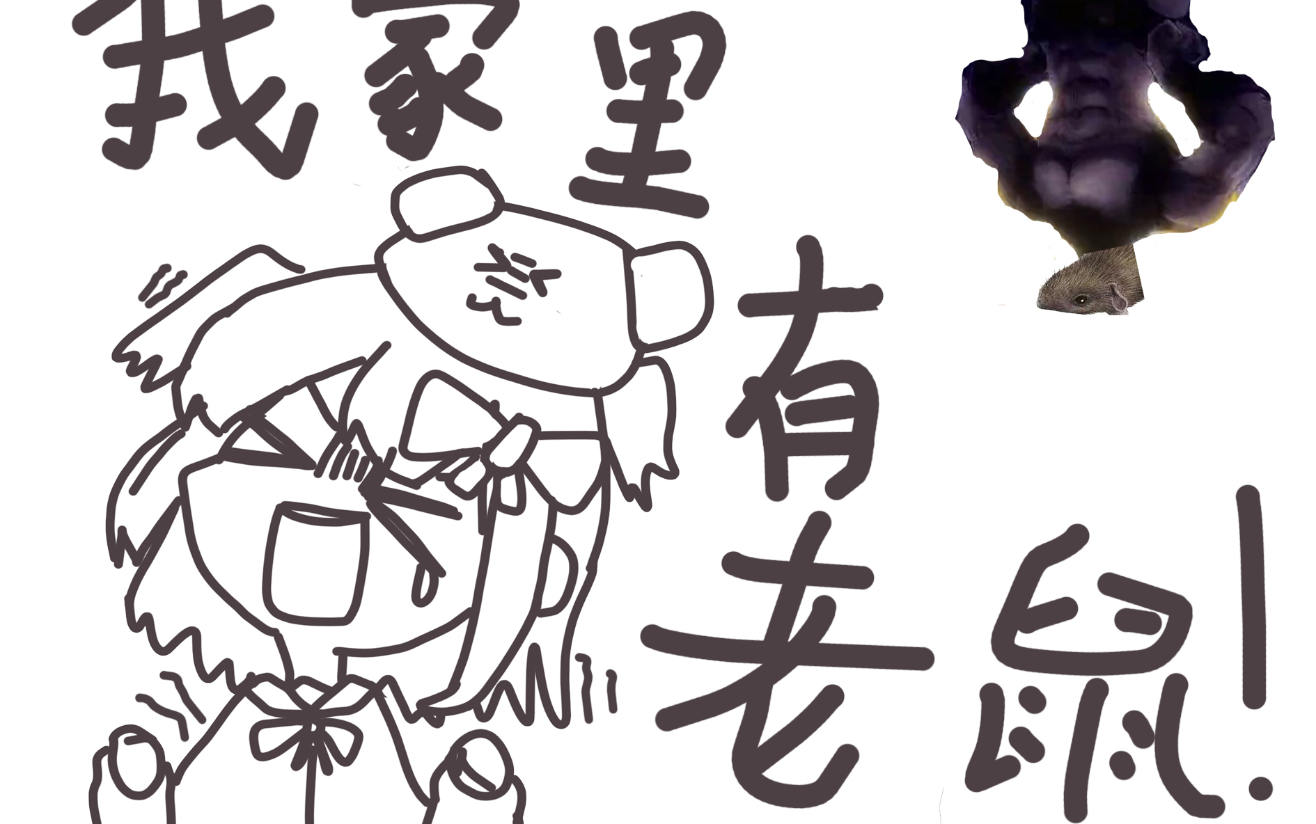 犬山哥我家里有老鼠