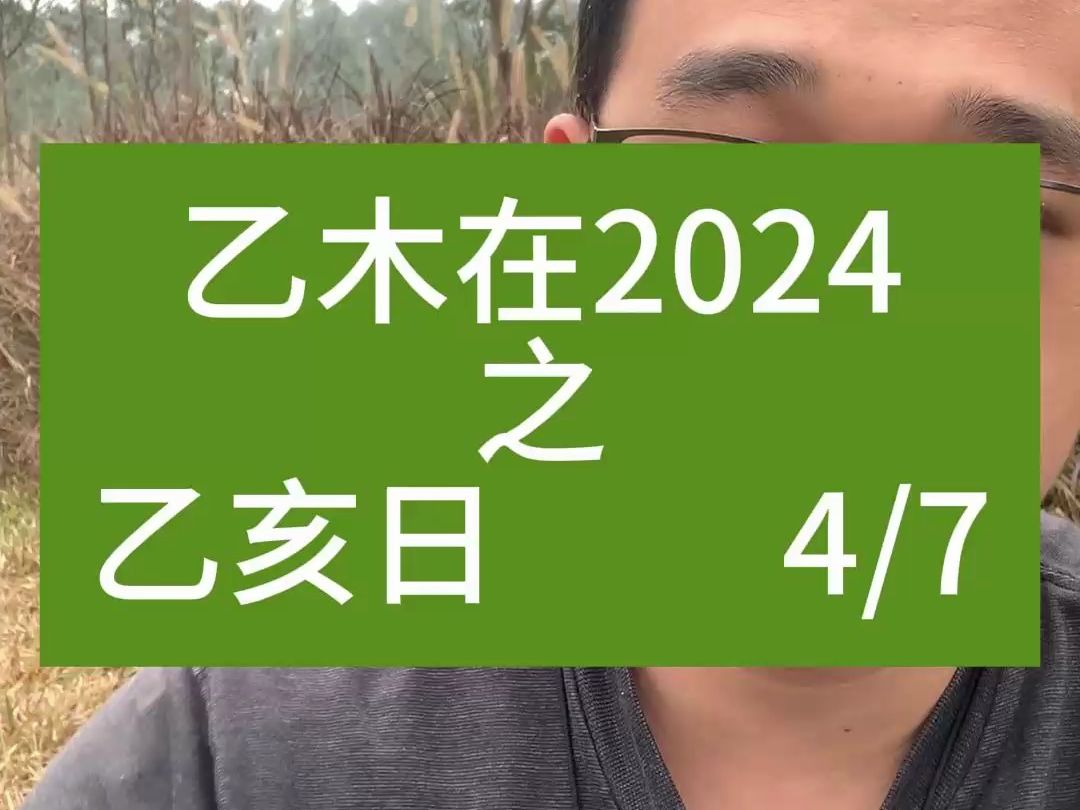 八字命理2024运势乙木乙亥哔哩哔哩bilibili