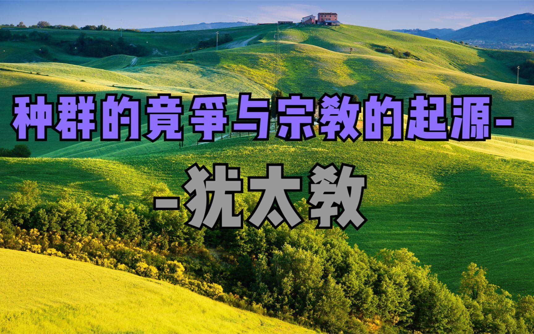 【经济史视野14宗教史】种群的竟争与宗教的起源犹太教哔哩哔哩bilibili