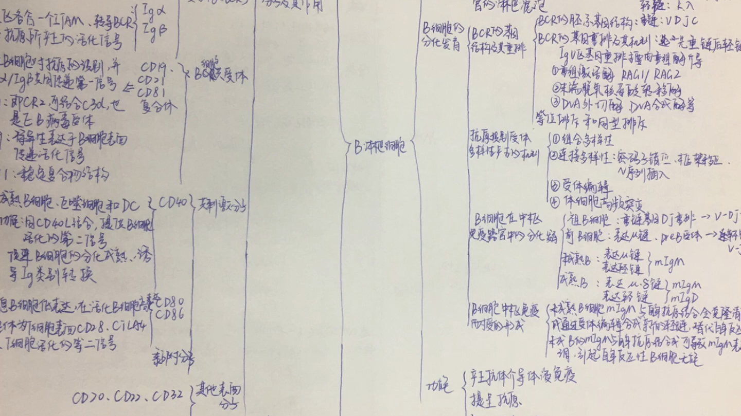 [图]珍藏已久的手写版医学免疫学思维导图来啦～