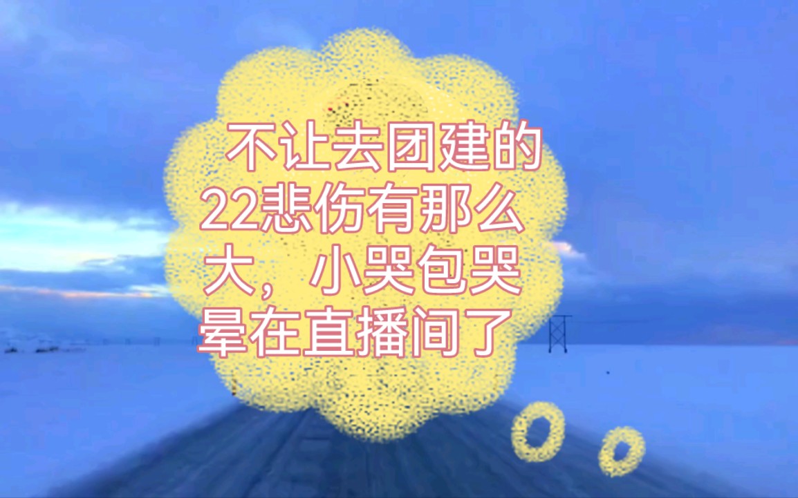 [图]不让去团建的72悲伤有那么大，小哭包哭晕在直播间了