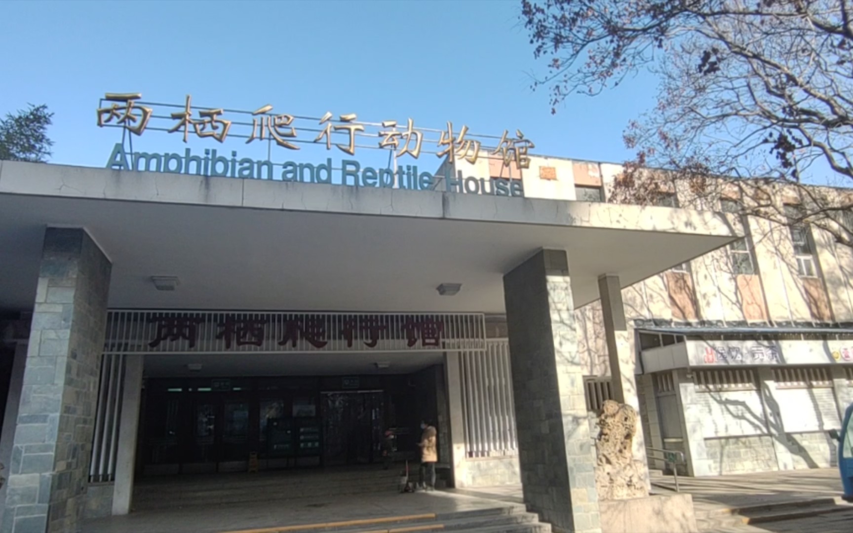 【壁虎与石龙子】北京动物园两栖爬行馆之小型爬宠_哔哩哔哩_bilibili