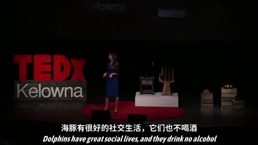 TED演讲:哪些是精彩的人生所必须的技能?哔哩哔哩bilibili