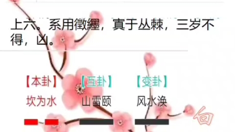 梅花易数哔哩哔哩bilibili