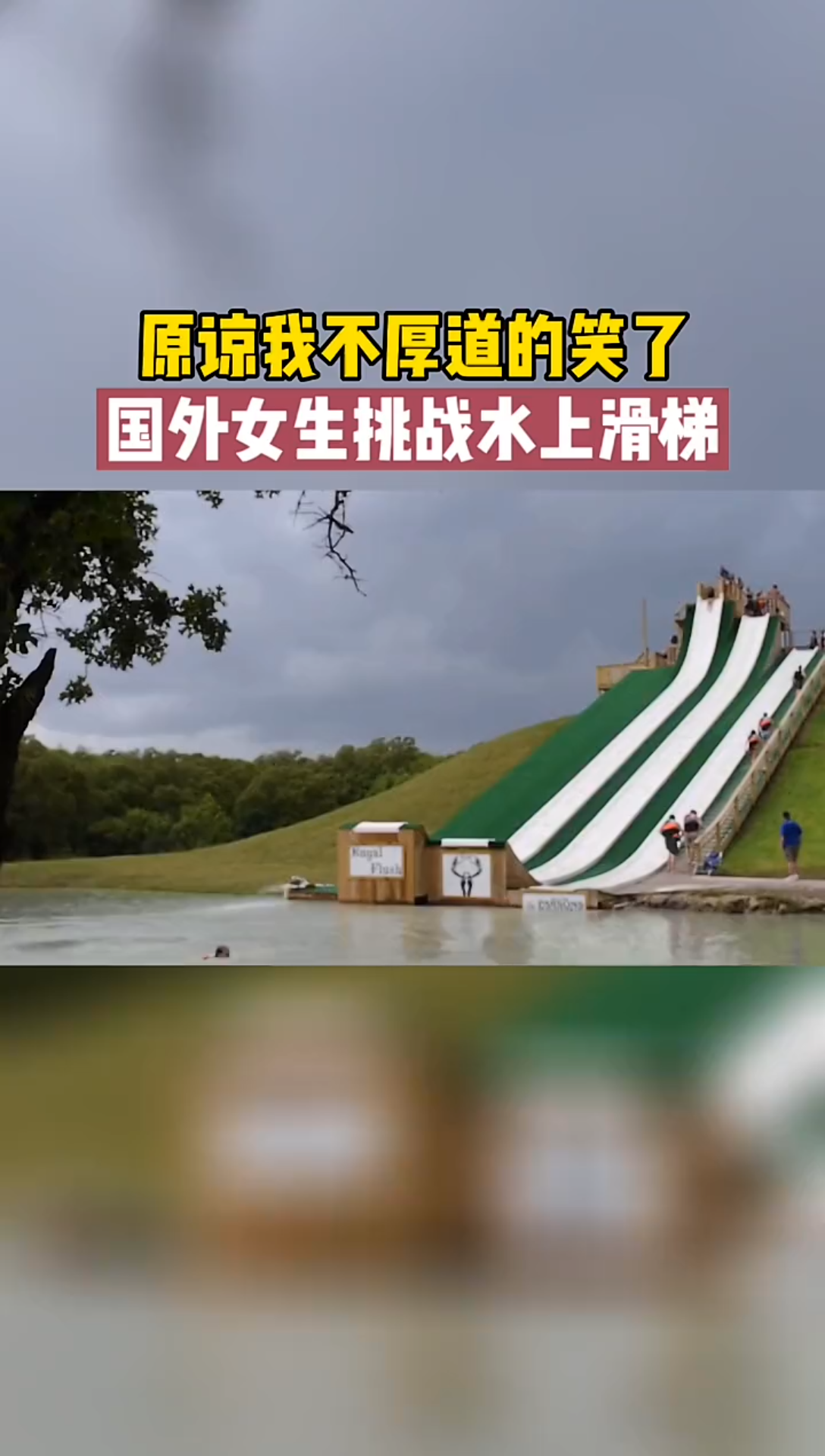 炸鱼队没你我不看