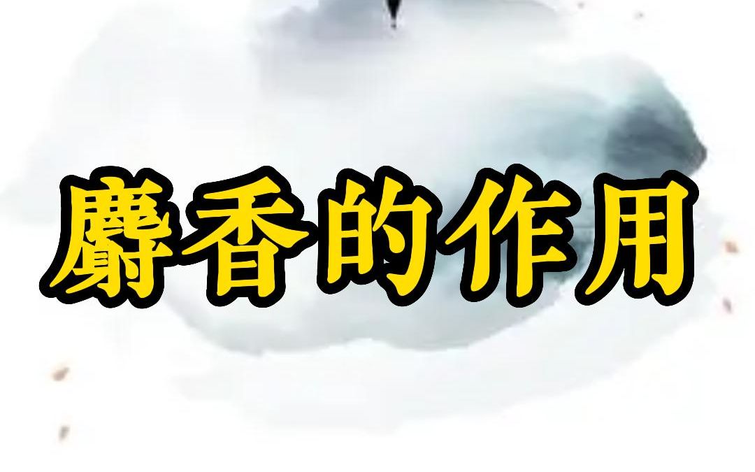 麝香的作用——徐文兵讲《知己》哔哩哔哩bilibili