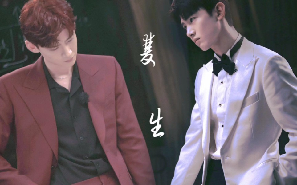 【目标人物】双生 郝燃×郝棋 |白敬亭