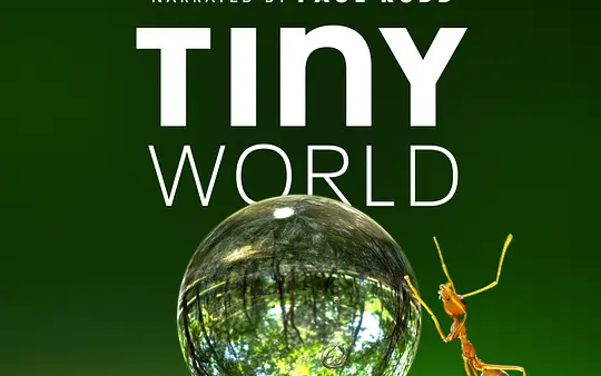 [图]【全12集】豆瓣9.6，惊艳全世界的4K自然纪录片《Tiny World 小小世界》 最适合和孩子一起观看！