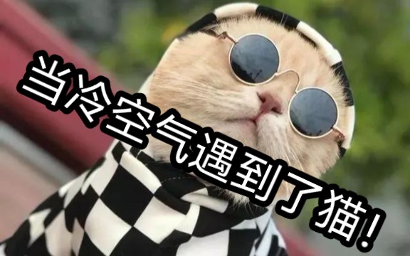 幸存者联盟成员冷猫 COOL CAT Mix合集哔哩哔哩bilibili