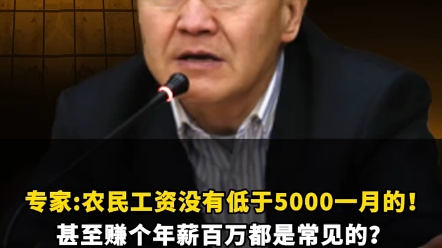 专家:农民工资没有低于5000一月的!甚至赚个年薪百万都是常见的?不食人间烟火的专家是最可怕的.#专家 #工资 #农民工哔哩哔哩bilibili