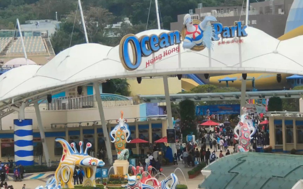 说走就走的香港海洋公园行#vlog6