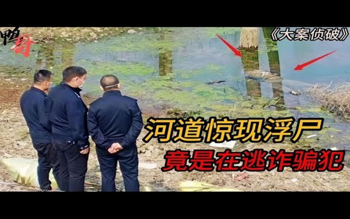 河中惊现浮尸,警方确定尸源用了四年半,发现死者竟是在逃诈骗犯|案件|悬案|大案|奇案|真实案件|大案纪实|奇闻异事哔哩哔哩bilibili