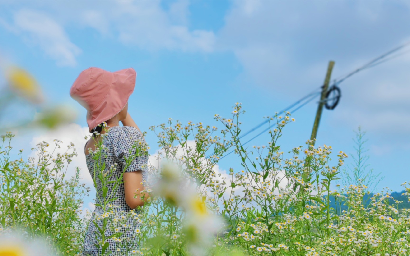 [图]记录夏日 （小米11ULtra）