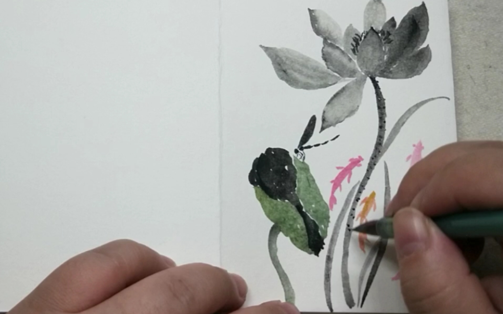 国画练习日常画荷花