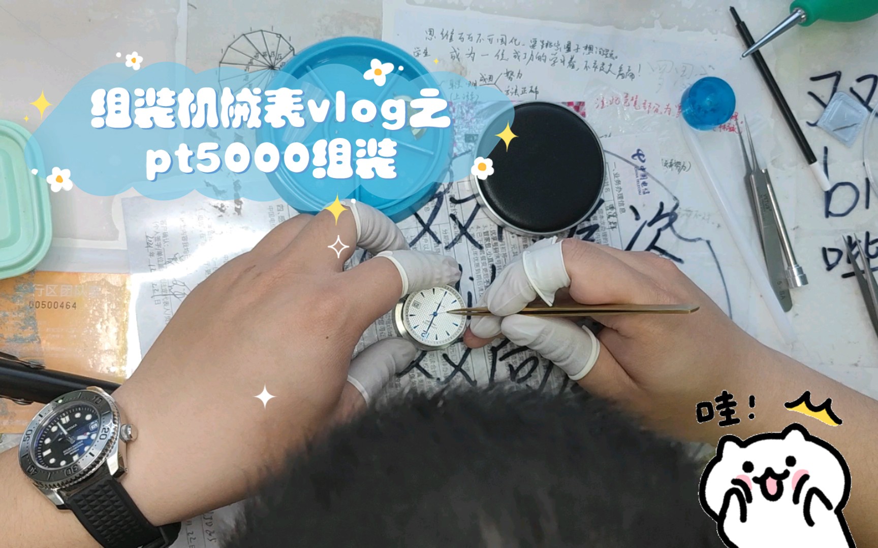 组装机械表vlog之pt5000组装哔哩哔哩bilibili