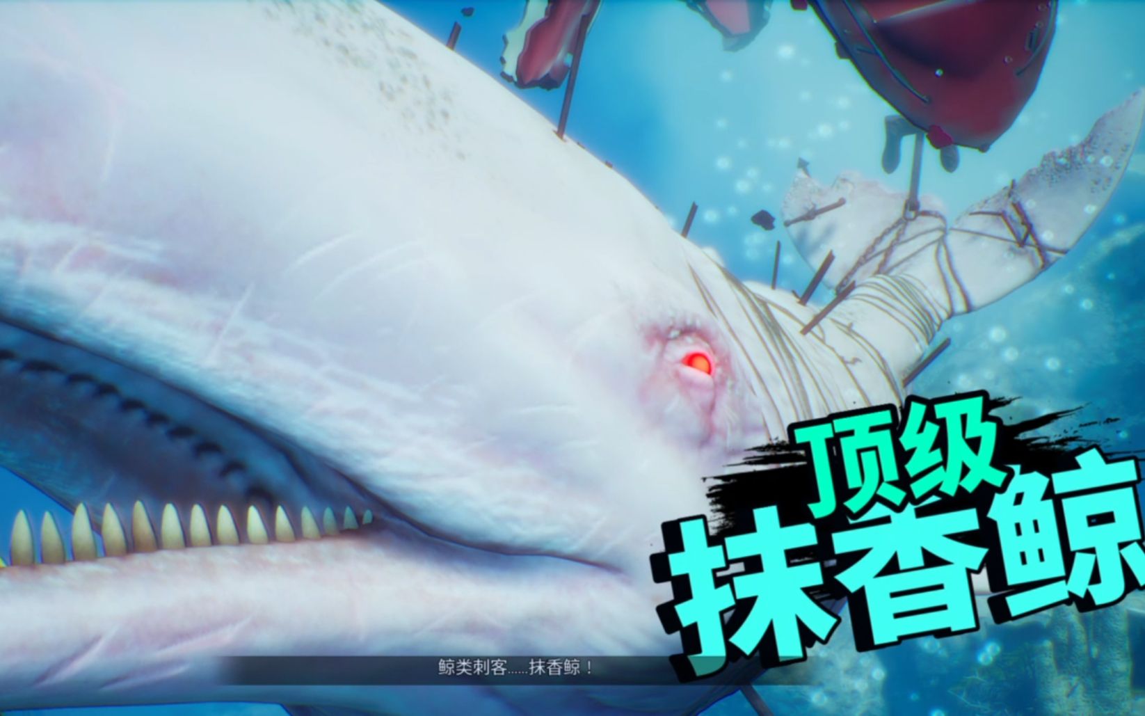 食人鲨maneaterboss战顶级抹香鲸初见