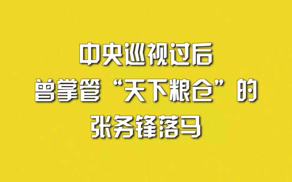 [图]中央巡视过后，曾掌管“天下粮仓”的张务锋落马