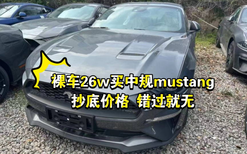 福特野马mustang抄底价格!!哔哩哔哩bilibili