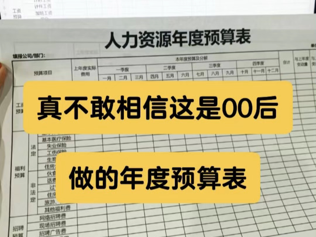 真不敢相信这是00后做的年度预算表,简直太厉害了哔哩哔哩bilibili