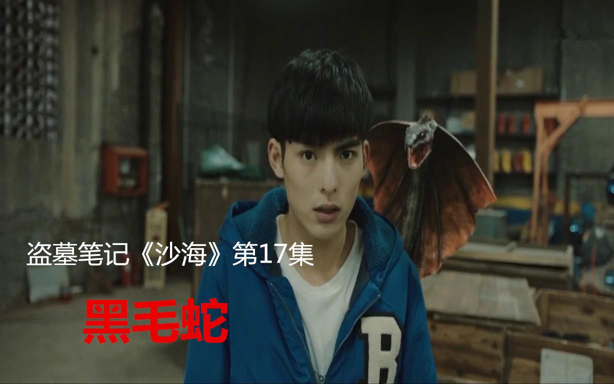 盗墓笔记之沙海17:会说话的黑毛蛇,能钻进人的身体,学人说话