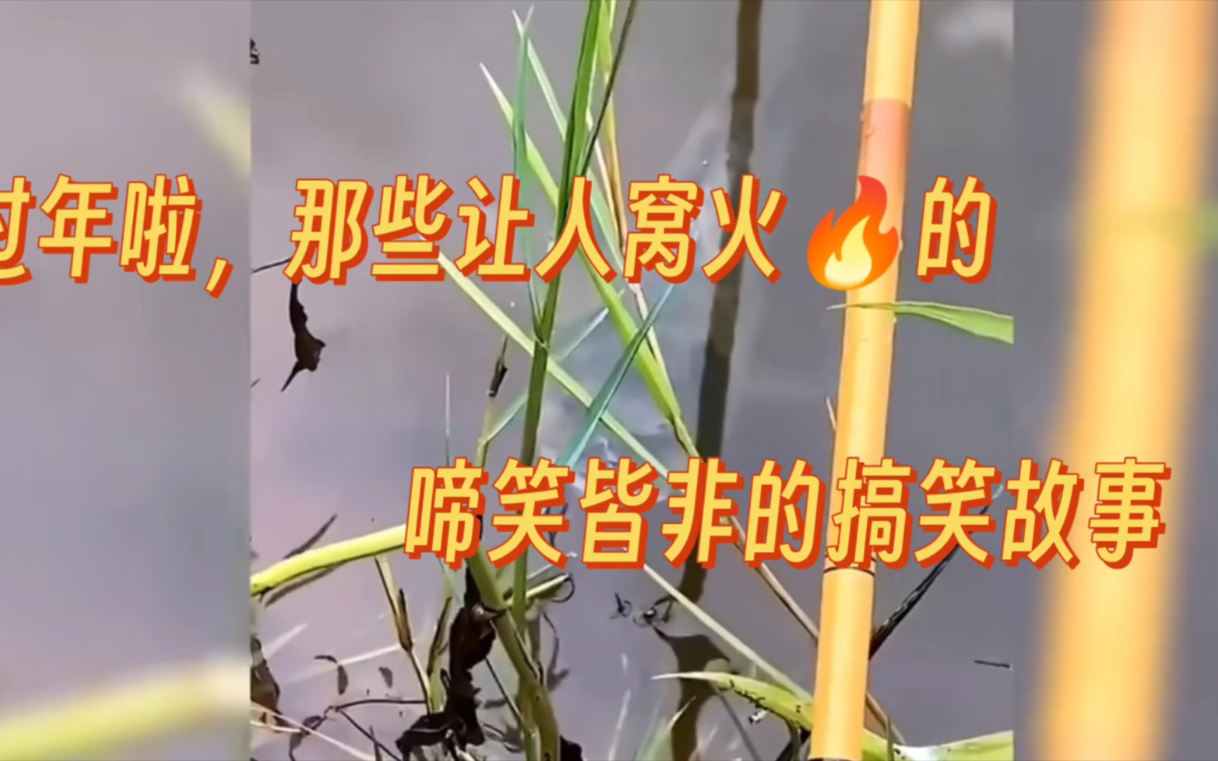 过年啦0906,那些啼笑皆非的搞笑故事,不信你自己