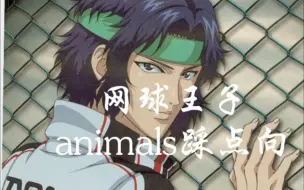 Descargar video: 【网球王子×animals踩点向】