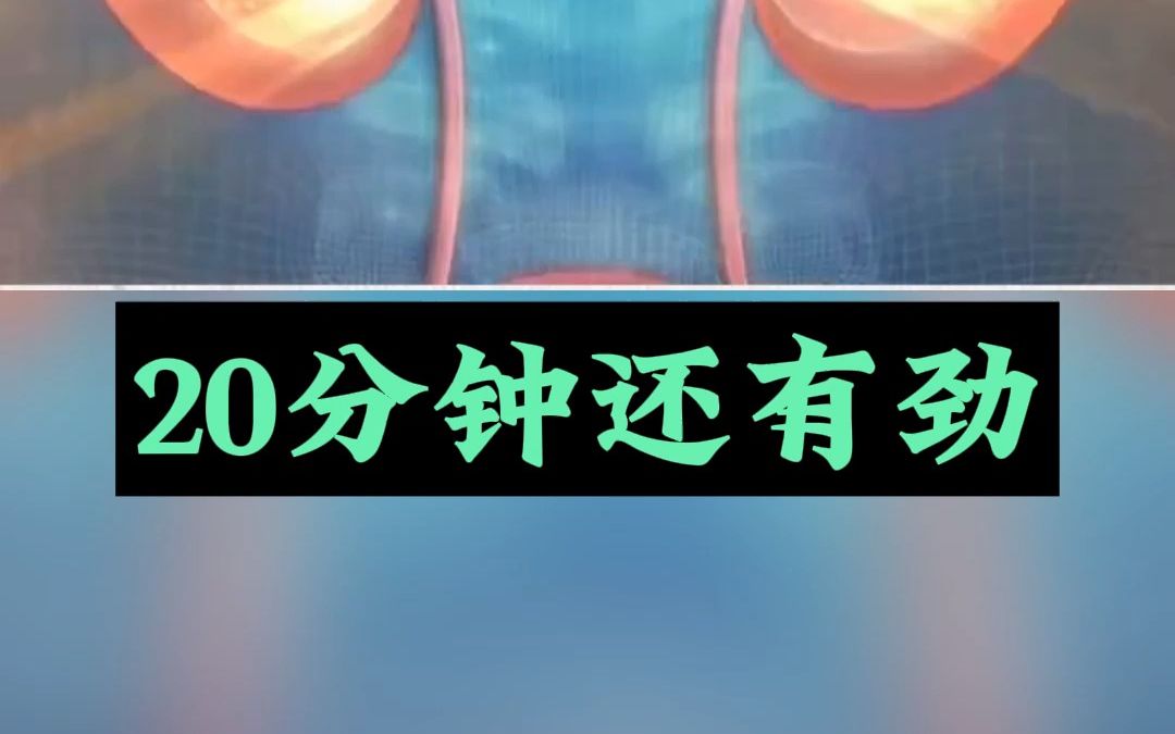 房事猛如虎,次次20分钟哔哩哔哩bilibili