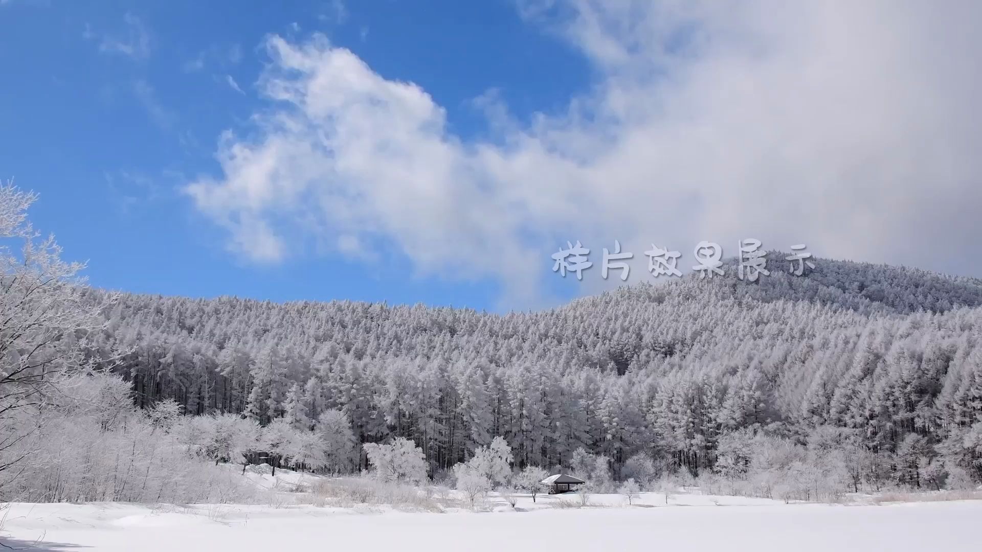 d194 2k画质唯美仙境冬天冬季雪景下雪雪花飘落冰雪融化白雪皑皑雪松雪山雪峰蓝天白云冰川雪地少儿节目诗歌朗诵晚会舞台大自然景色空镜头视频素材...