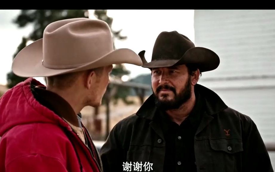 高分美剧《黄石》:牛仔不说再见,直到他们入土为安 #美剧推荐