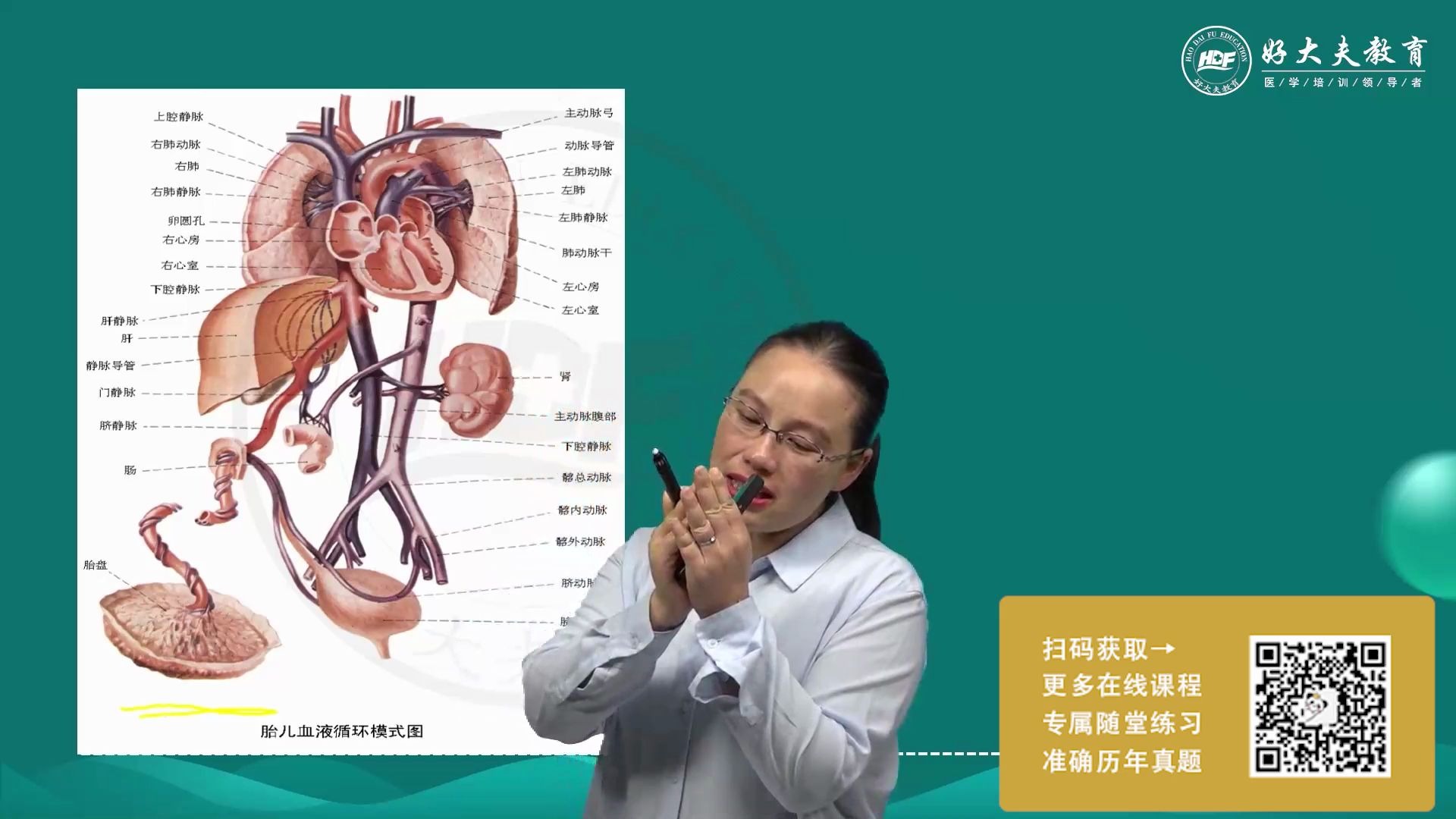 儿科重点内容讲解:循环系统疾病哔哩哔哩bilibili