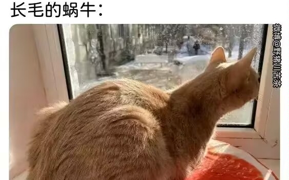 (文献翻译)如何承担起系统公民的责任?(系统合理改革&内部团队管理方法)哔哩哔哩bilibili