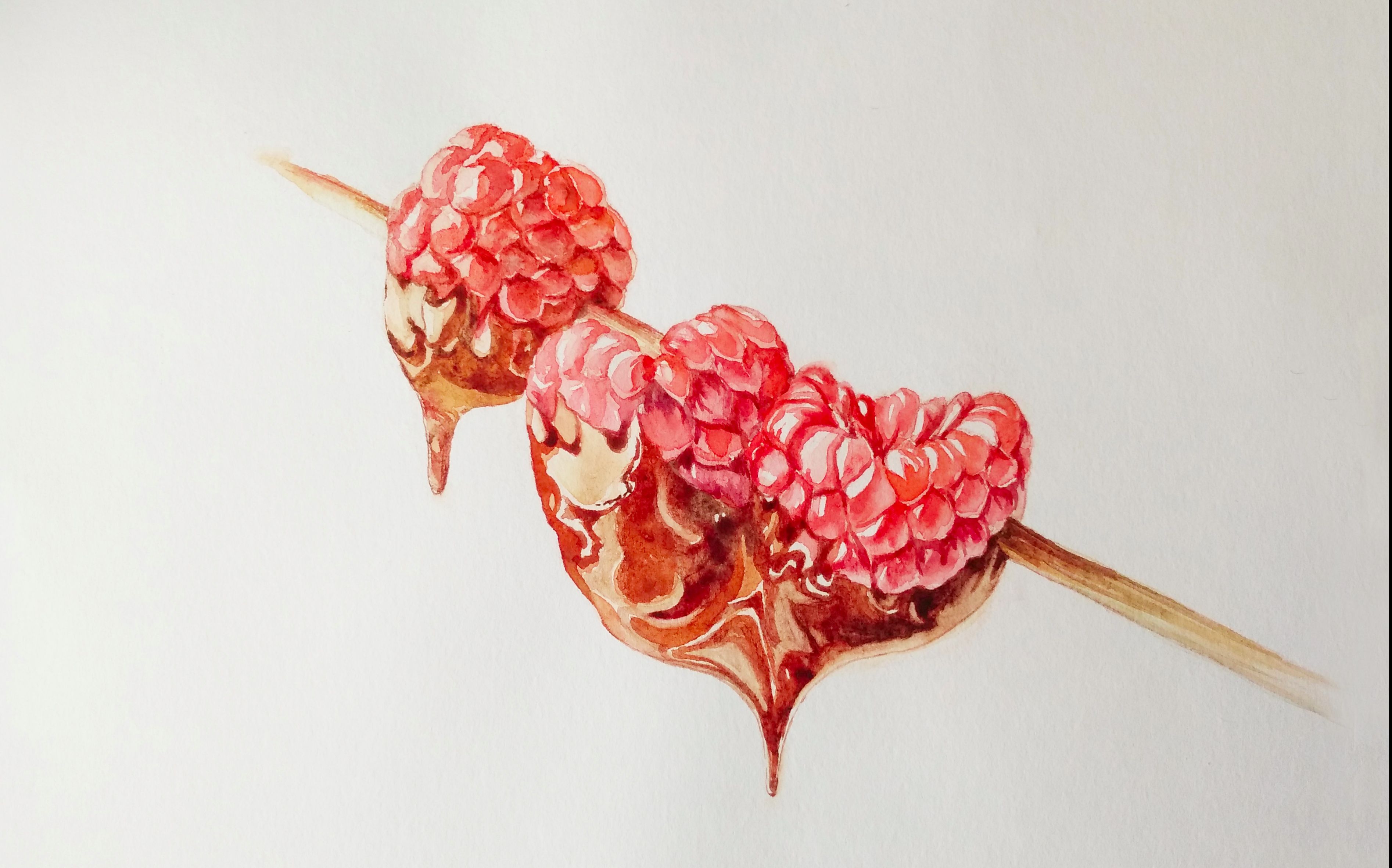 omiyaan绘画视频水彩巧克力酱树莓