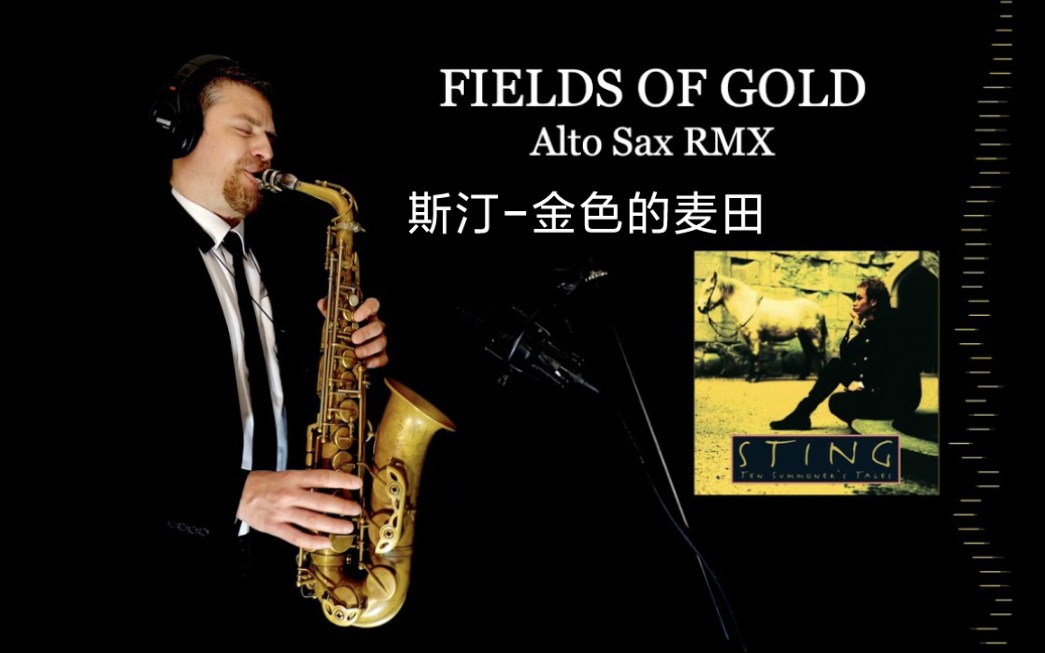 [图]【萨克斯】斯汀《金色的麦田》FIELDS OF GOLD - Sting - Alto Sax RMX