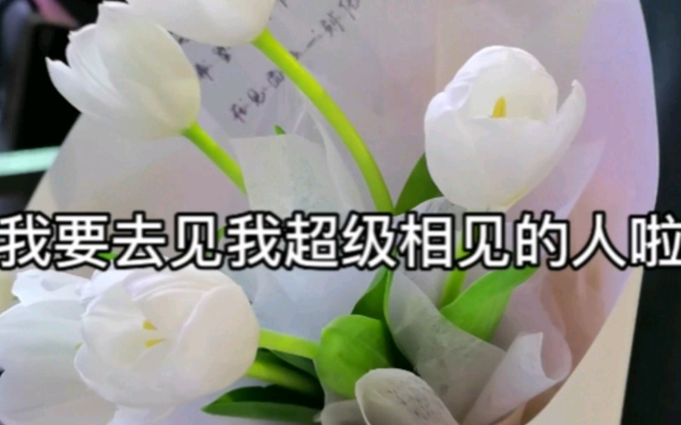 军婚见面啦~哔哩哔哩bilibili