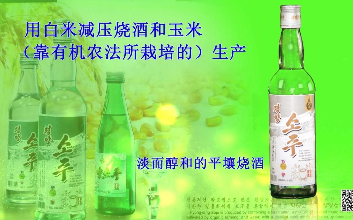 【朝鲜特产】平壤特制烧酒(全网独家资源中文字幕)哔哩哔哩bilibili