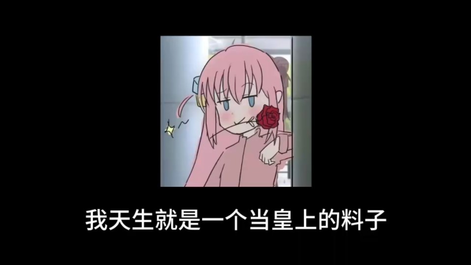 现在我就是网络皇帝哔哩哔哩bilibili