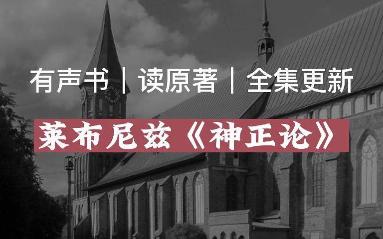 【有声读物】莱布尼兹《神正论》|读原著|有声书|全集|求赞求币哔哩哔哩bilibili