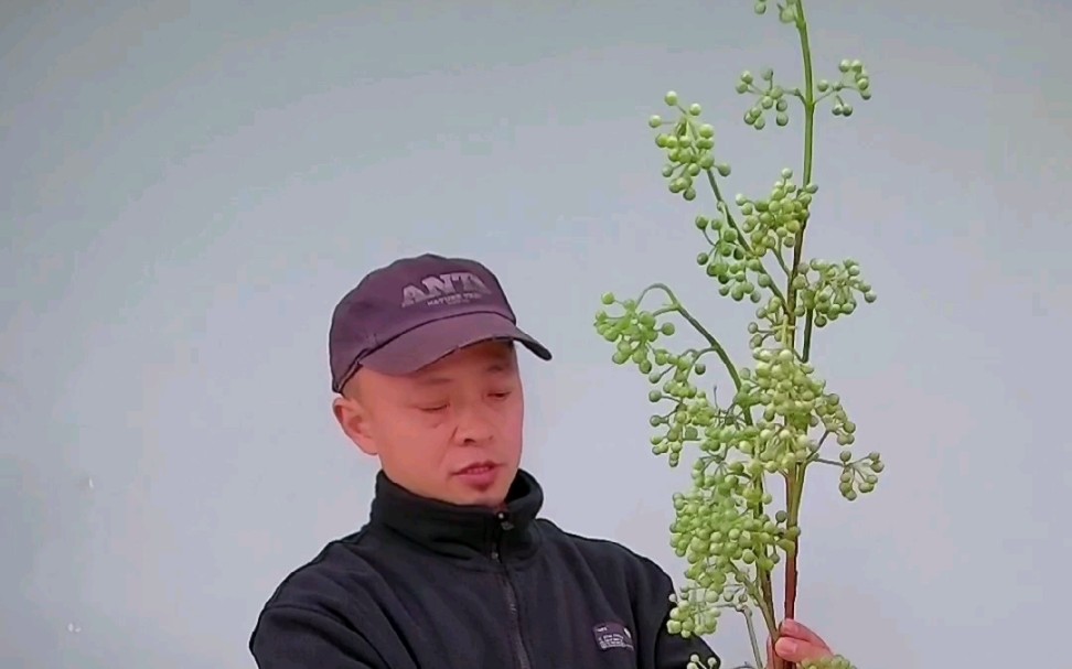 插花技能分享山茶花与吊钟叶哔哩哔哩bilibili