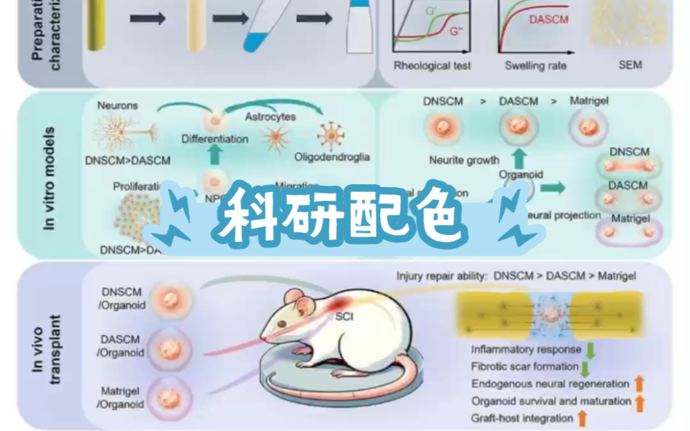 科研绘图|科研配色哔哩哔哩bilibili