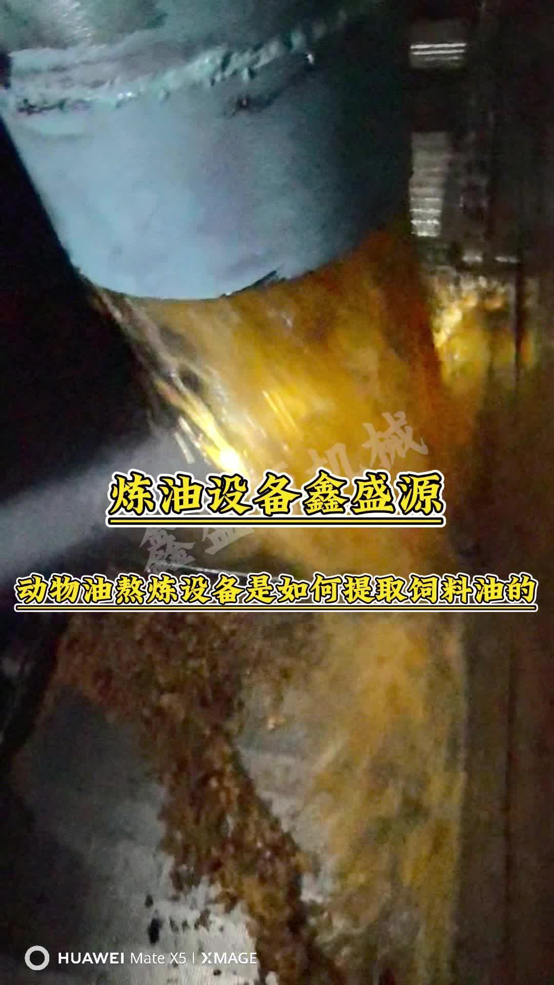 动物油熬炼设备是如何提取饲料油的呢?哔哩哔哩bilibili