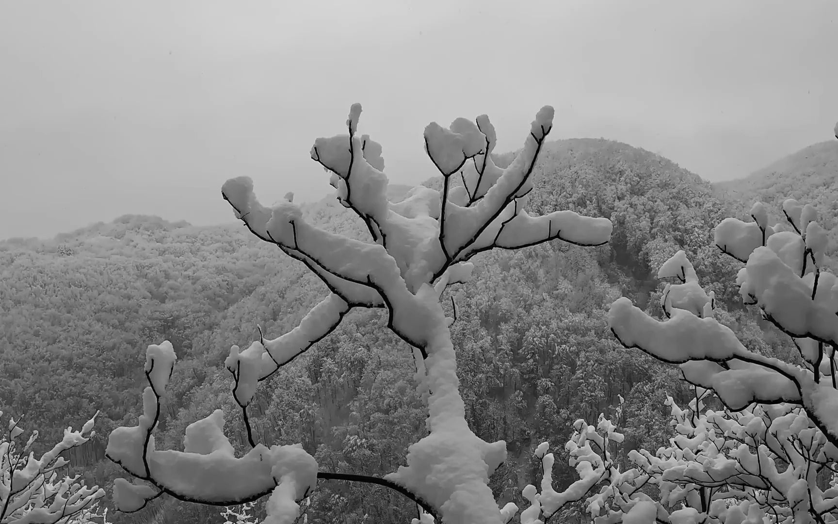 地下石穴避难所 躲避暴风雪和严寒 在地堡中度过暴风雪哔哩哔哩bilibili