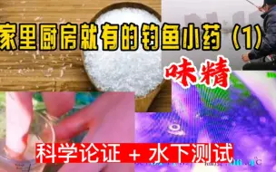 Télécharger la video: 钓鱼小药（1）味精。科学论证加水下测试，其实小药就在我们身边