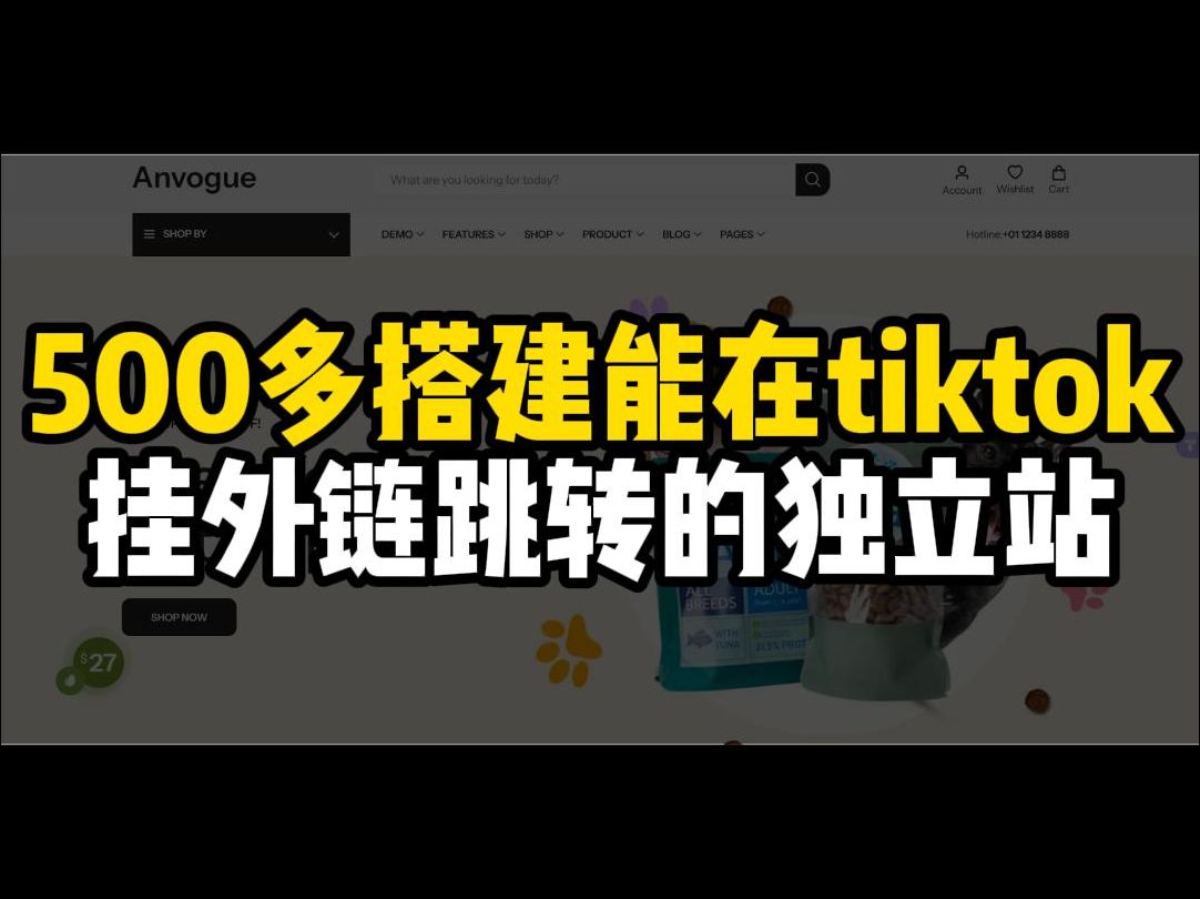 500多搭建能在tiktok挂外链跳转的独立站哔哩哔哩bilibili