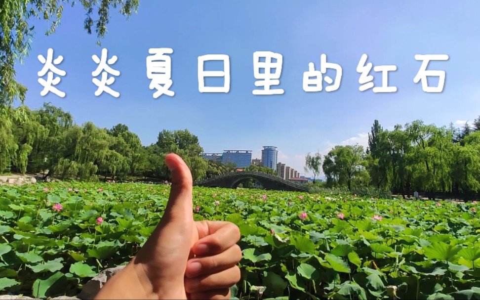 VLOG#「带你走进济南市莱芜区红石公园」哔哩哔哩bilibili