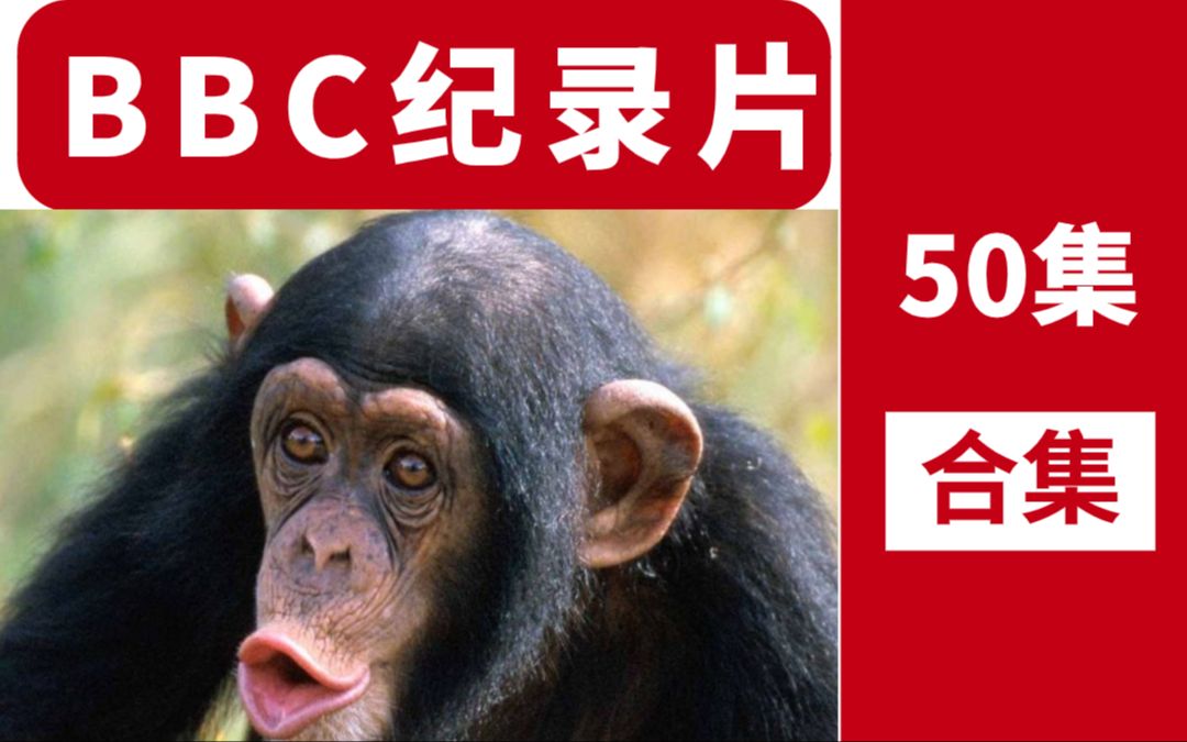 [图]【英语纪录片】看BBC Earth 纪录片学英语，50个精彩绝伦的自然历史时刻！