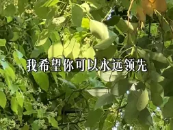 Download Video: 亲爱的朋友 我盼你多金 更盼你开心 在通往幸福的路上 希望你永远领先