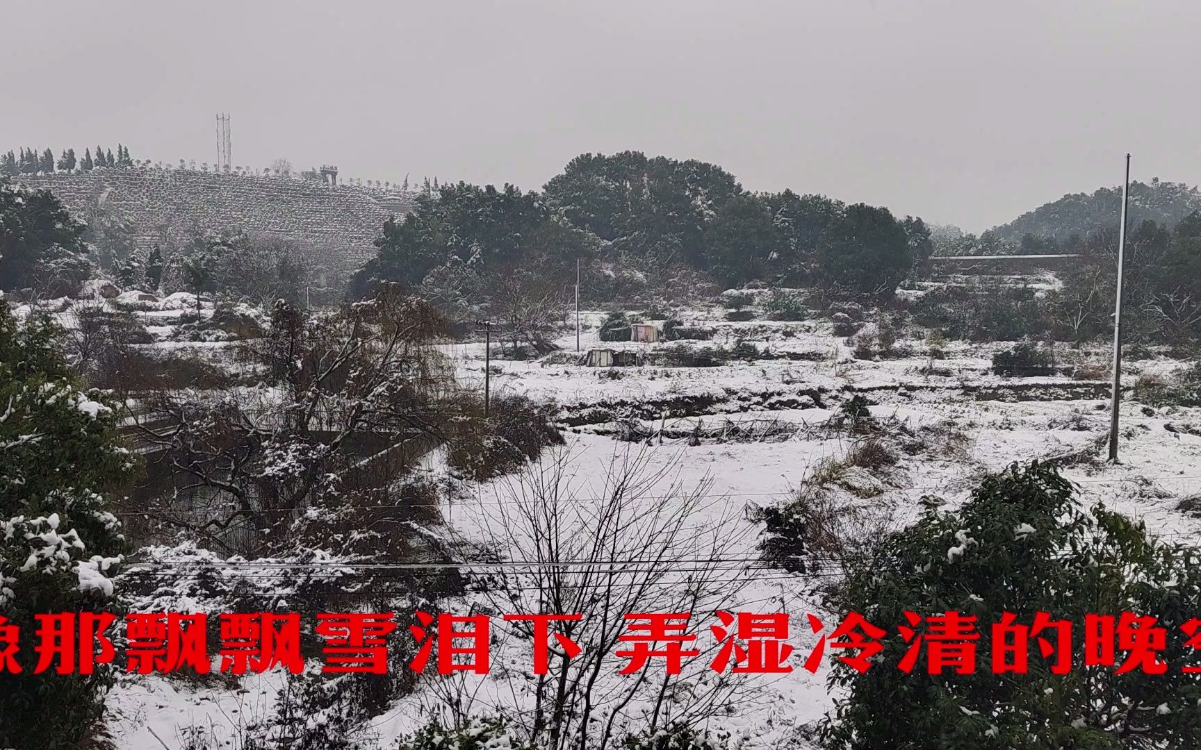 [图]飘雪-陈慧娴（无损）