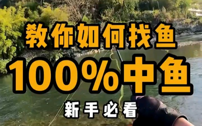 新手快来看,提高瓜子亮片中鱼率,让你100%中鱼!哔哩哔哩bilibili